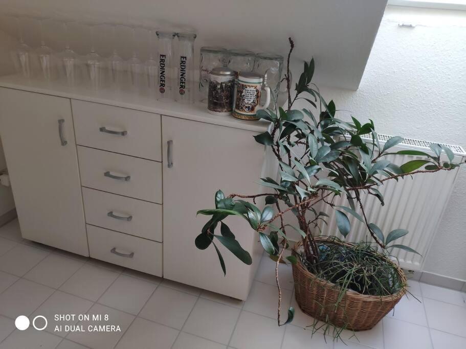 Tolle Wohnung In Zentraler Lage In Neu-Ulm Buitenkant foto