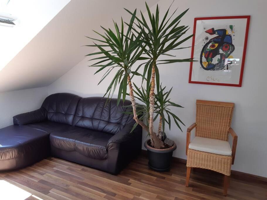 Tolle Wohnung In Zentraler Lage In Neu-Ulm Buitenkant foto